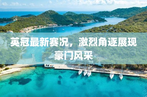英冠最新赛况，激烈角逐展现豪门风采