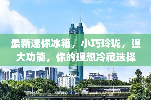 最新迷你冰箱，小巧玲珑，强大功能，你的理想冷藏选择