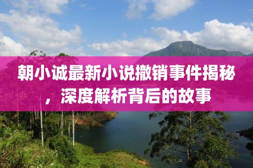 朝小诚最新小说撤销事件揭秘，深度解析背后的故事
