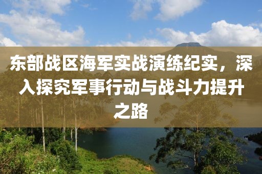 东部战区海军实战演练纪实，深入探究军事行动与战斗力提升之路