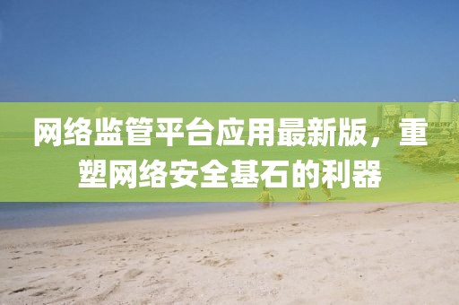 网络监管平台应用最新版，重塑网络安全基石的利器