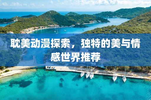 耽美动漫探索，独特的美与情感世界推荐