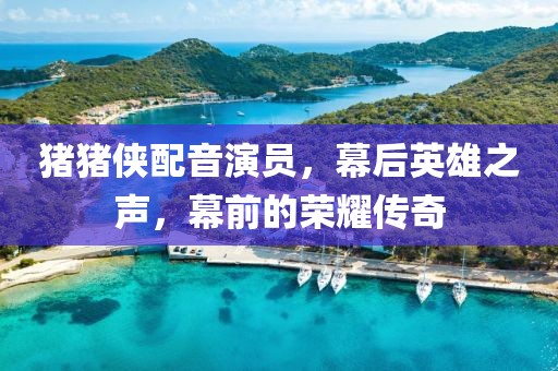 猪猪侠配音演员，幕后英雄之声，幕前的荣耀传奇