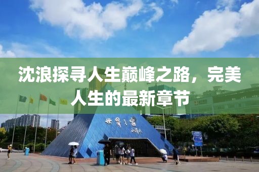 沈浪探寻人生巅峰之路，完美人生的最新章节