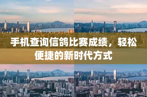 手机查询信鸽比赛成绩，轻松便捷的新时代方式