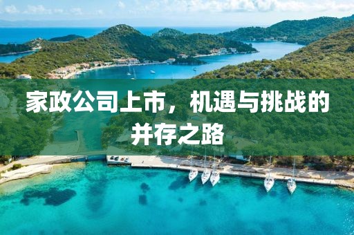 家政公司上市，机遇与挑战的并存之路