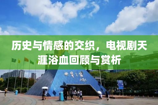 历史与情感的交织，电视剧天涯浴血回顾与赏析