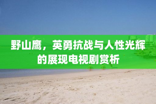 野山鹰，英勇抗战与人性光辉的展现电视剧赏析