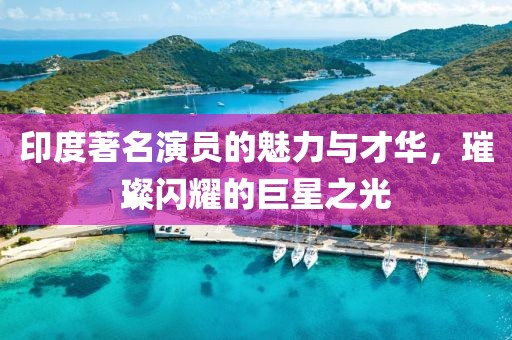 印度著名演员的魅力与才华，璀璨闪耀的巨星之光