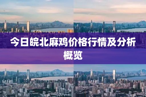 今日皖北麻鸡价格行情及分析概览