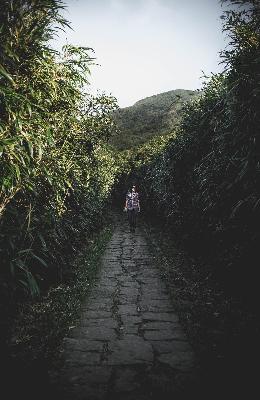 探索大自然神秘宝藏，自然藏奇珍之旅