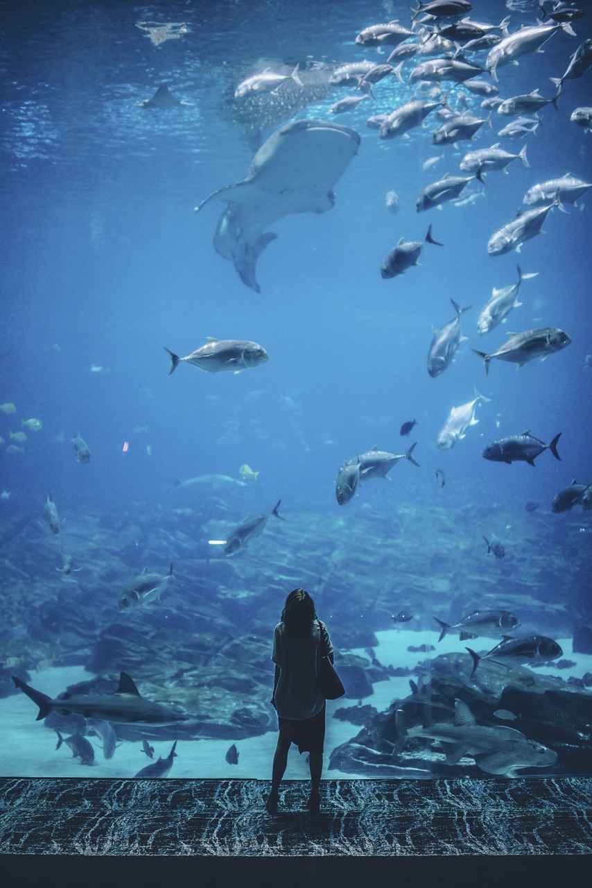 开心水族箱破解版背后的游戏犯罪问题及影响