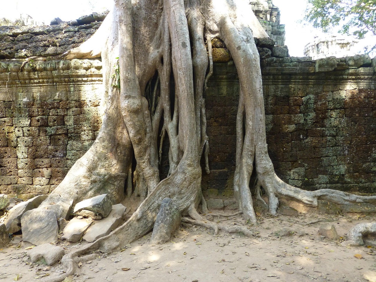 刘畅红歌达人，最新动态与闪耀之旅揭秘