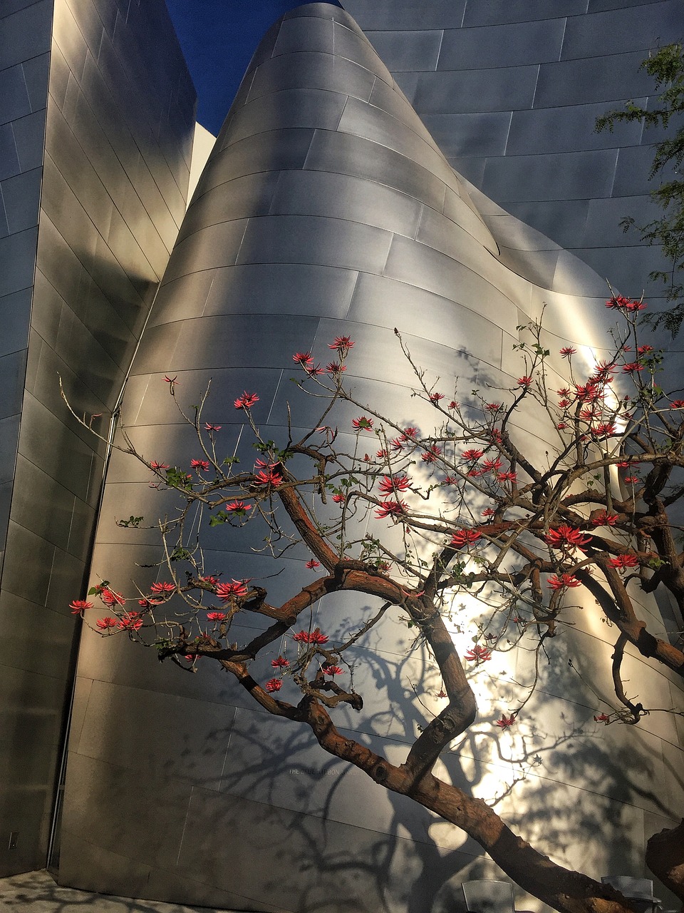 迁西动态更新，把握城市发展的脉搏，展望美好未来