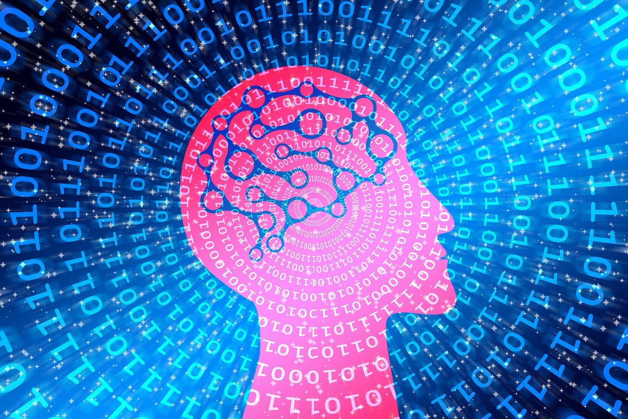 探索数字世界的宝藏，最新高清资源一览