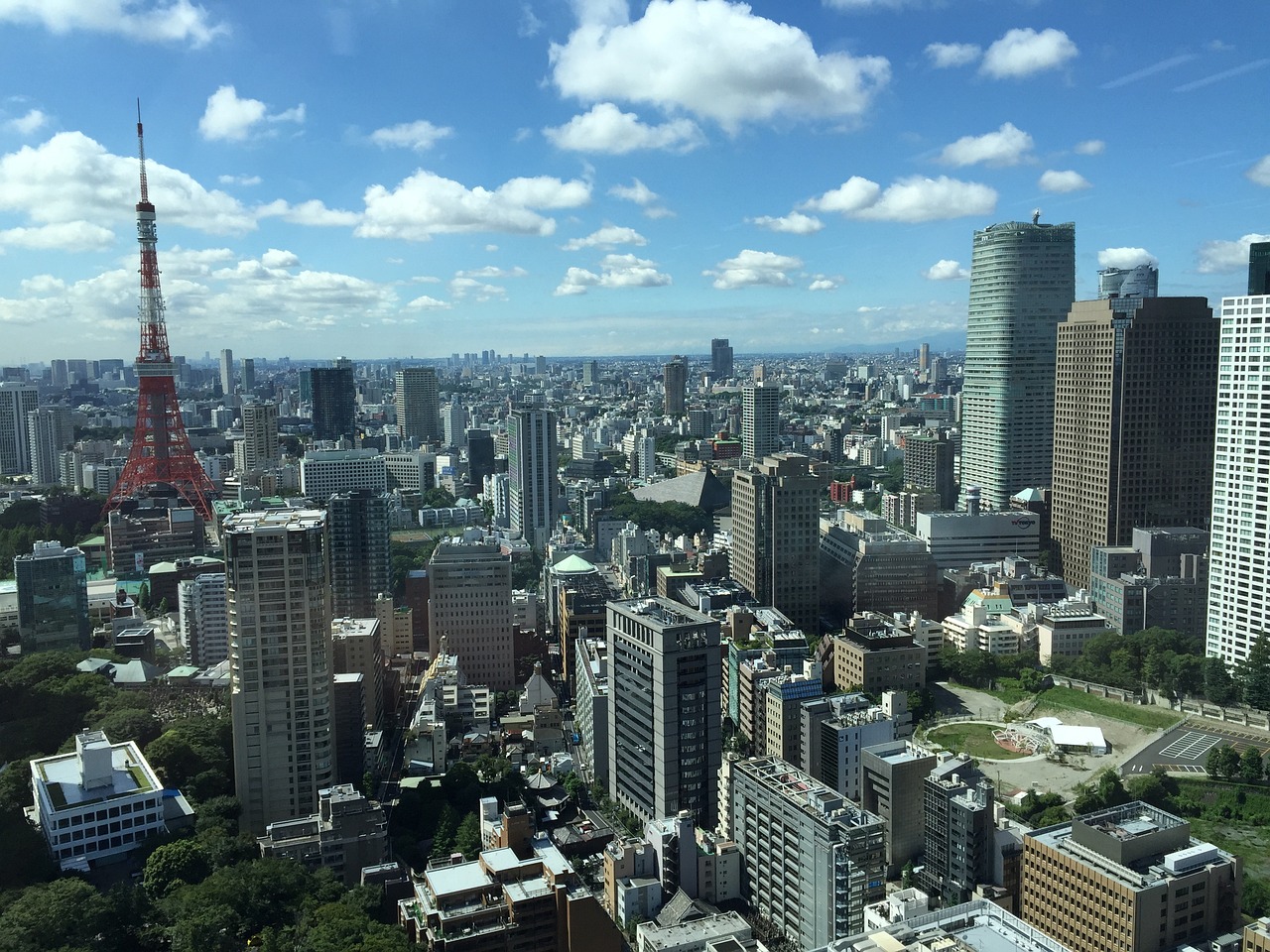 最新货源引领市场新繁荣