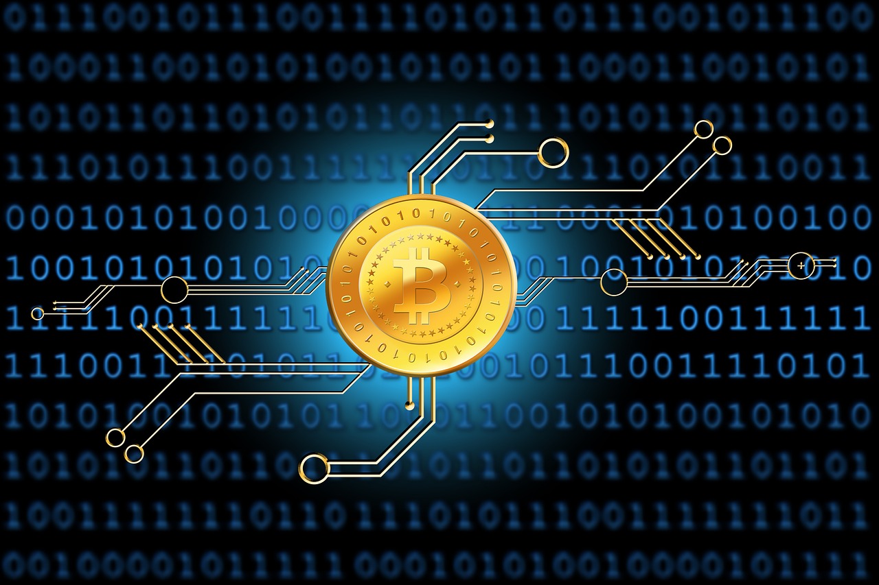 代码000886股票深度分析与实时行情跟踪