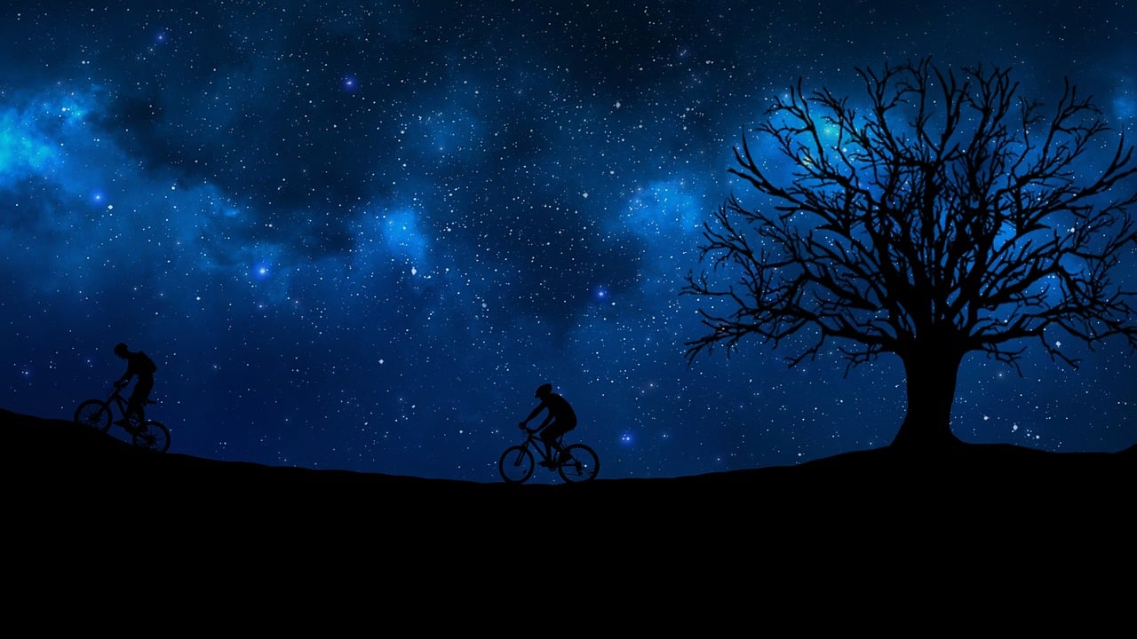 你是闪耀的明星，情感赞歌中的无尽光芒