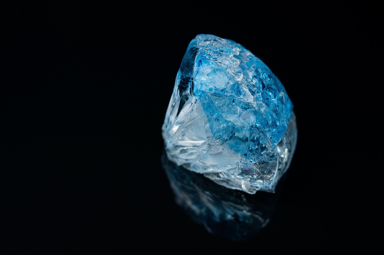 熊明星，闪耀光芒，引领时代潮流之典范