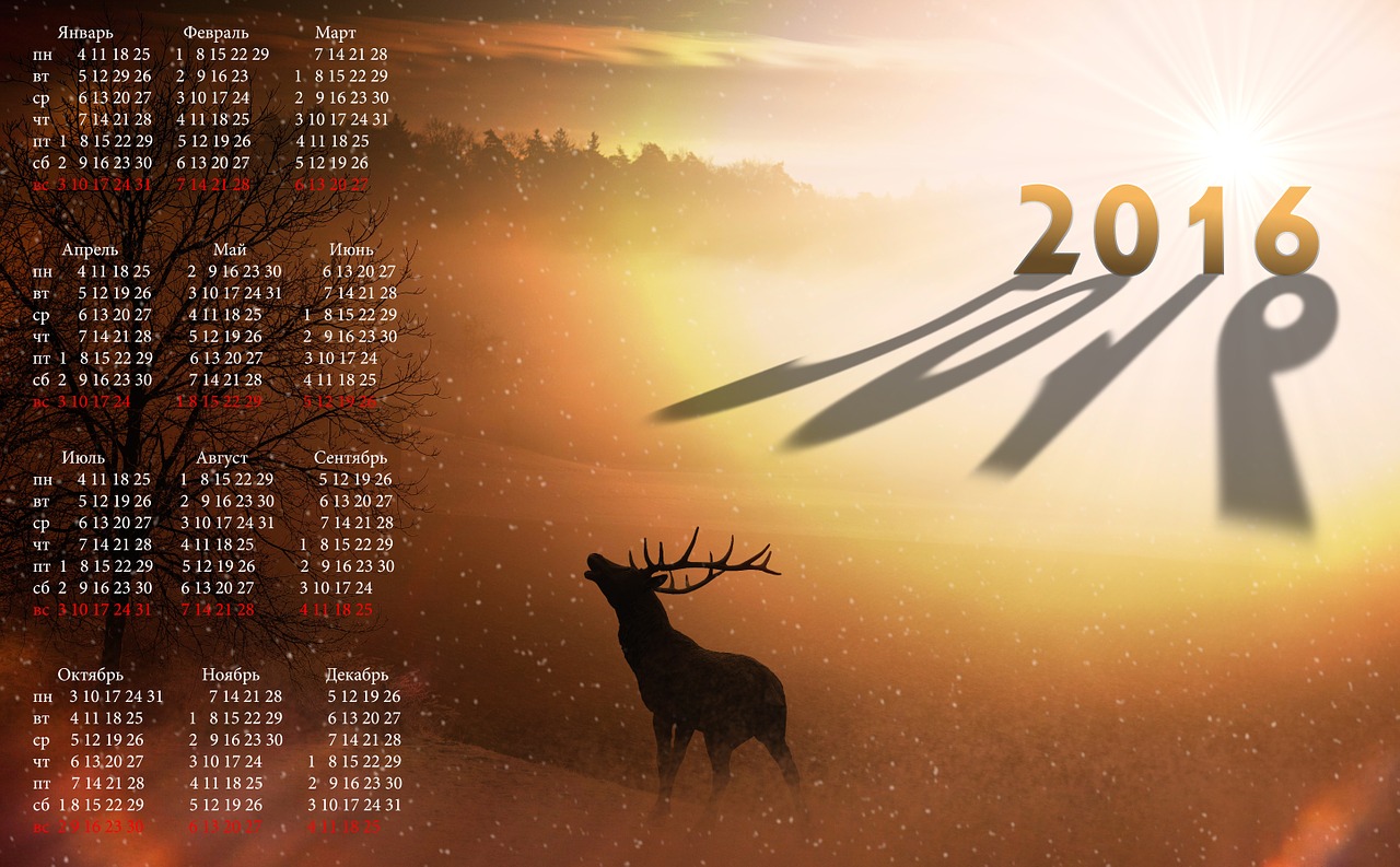 精选2016年度遗憾语录回顾