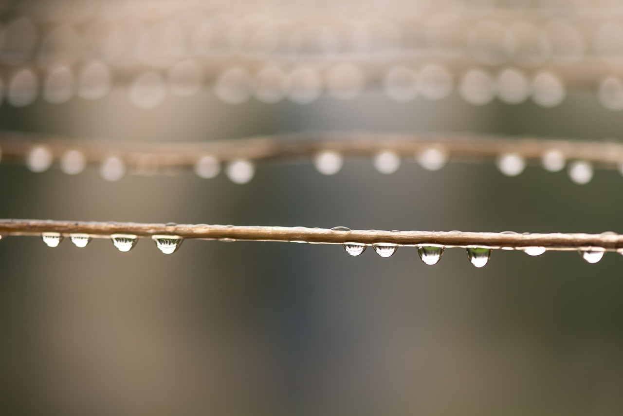 江苏暴雨预警最新动态及应对暴雨天气的紧急措施与全面准备指南