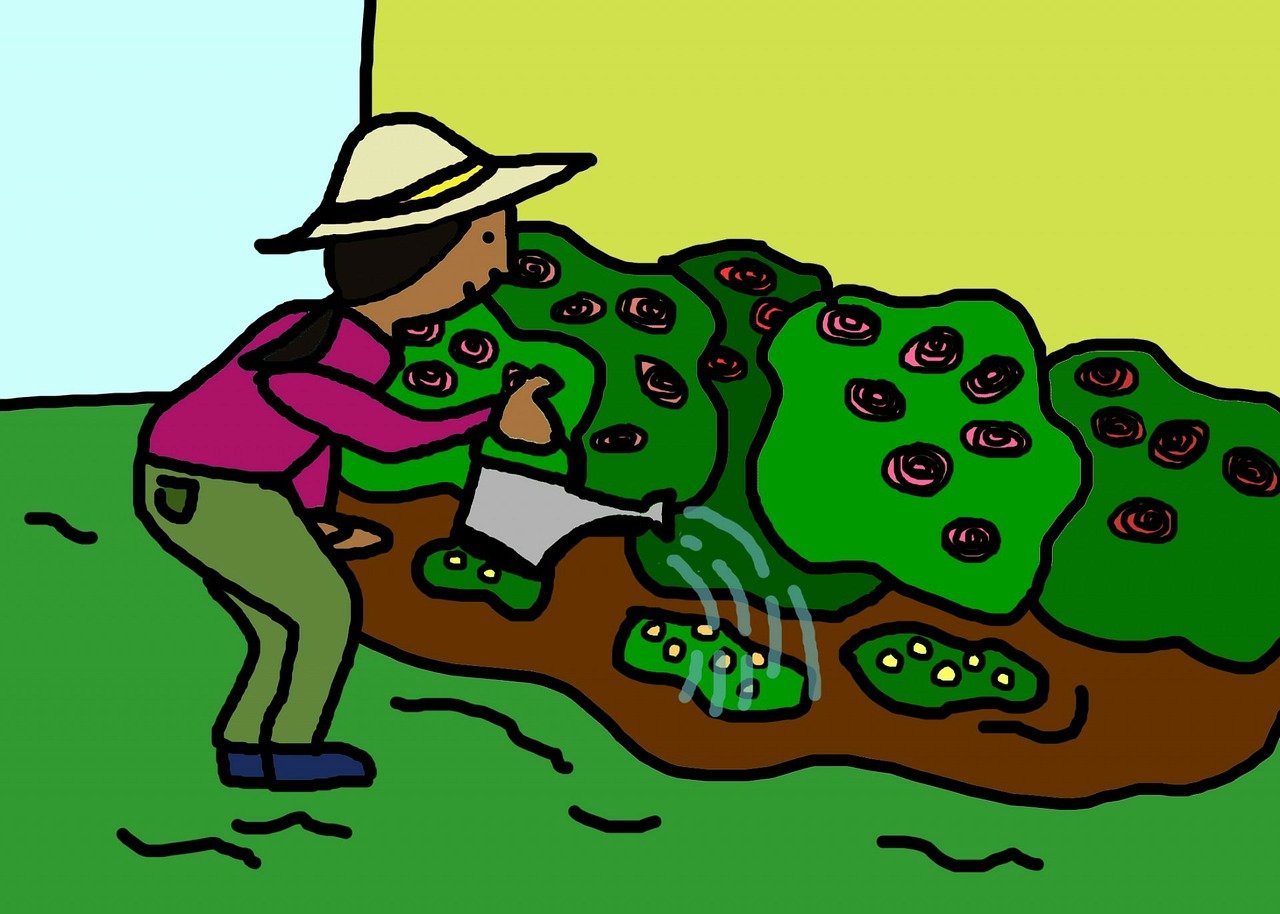 最新脚心漫画大全，动漫世界的魅力与趣味探索